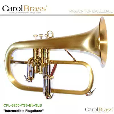 CFL-6200-YSS-Bb-SLB Fulug No CarolBrass Carol