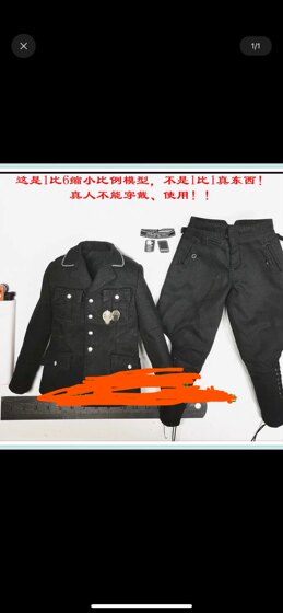 Did 3R 1/6 German Gm647 Ceremonial Guard Black Ss