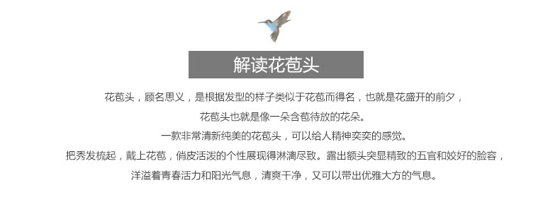 Extension cheveux - Chignon - Ref 246010 Image 8