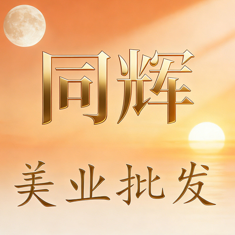 同辉美业批发的LOGO