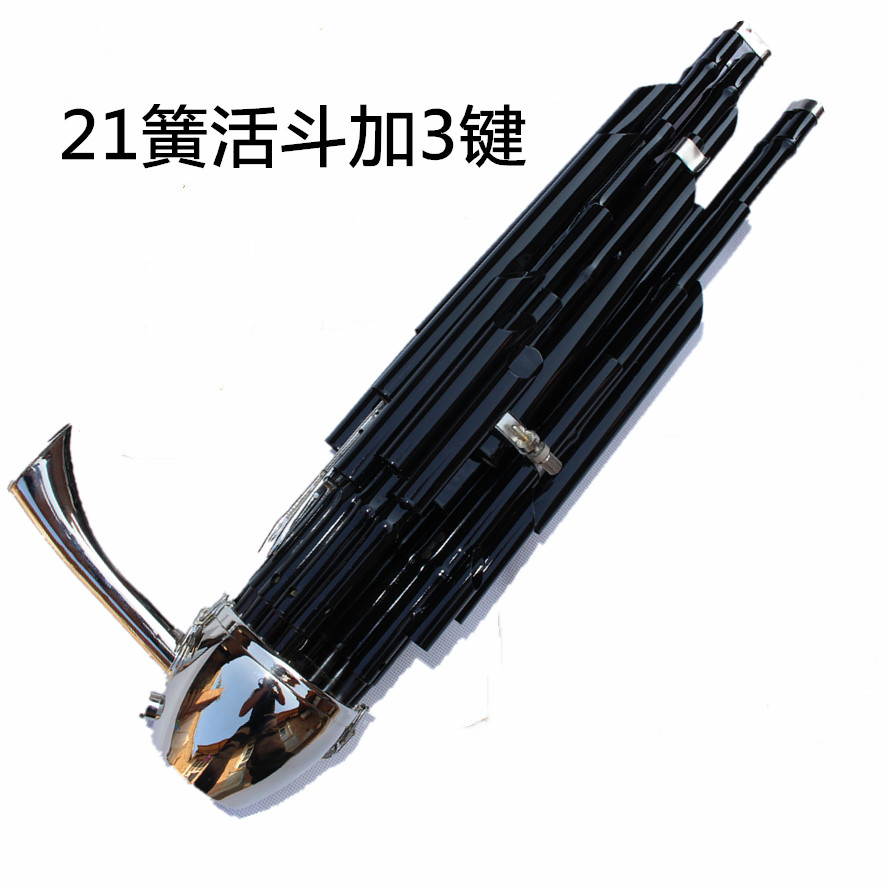 Nhạc cụ chuyên nghiệp chơi 21 tăng cường âm thanh mùa xuân 笙 gỗ mun 笙 chân tone nhạc cụ quốc gia đảm bảo giai điệu tấu sáo