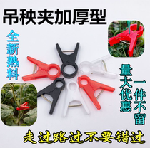  Greenhouse cucumber clip Tomato tomato tied vine clip hanging seedling clip Hanging vine clip Supporting vine clip Falling vine clip falling seedling clip