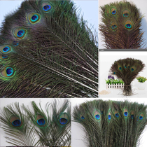 Pure natural peacock feather 25-130cm tail large eyes DIY ornament Decorative Vase Wedding Feather Accessories