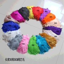 Wedding Celebration Ostrich Wool Natural Feather Photo Props Cake Swing Piece Mesh Red Pink and Tail Hair Soft Pole Decoration DIY