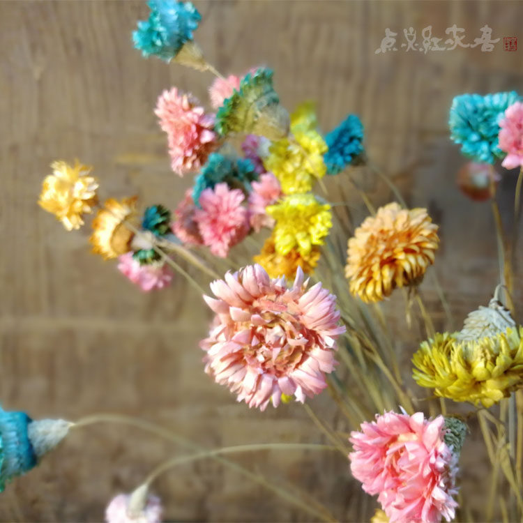 Straw chrysanthemum natural dried flower bouquet Color mixed color small daisies Home furnishings Living room decoration flower arrangement Small fresh chrysanthemum