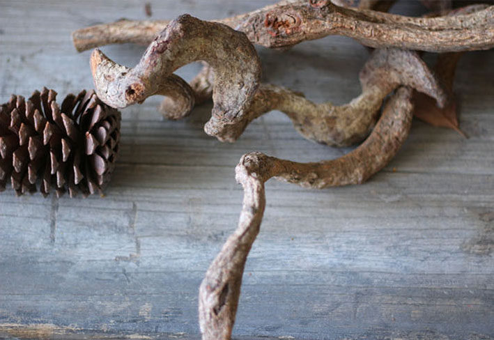 (over Jiang Long) Dry branches Dried Twigs with natural natural colors flower arrangement Lucid Lingo Vine Bonsai Molding Shop Window Decoration Hem