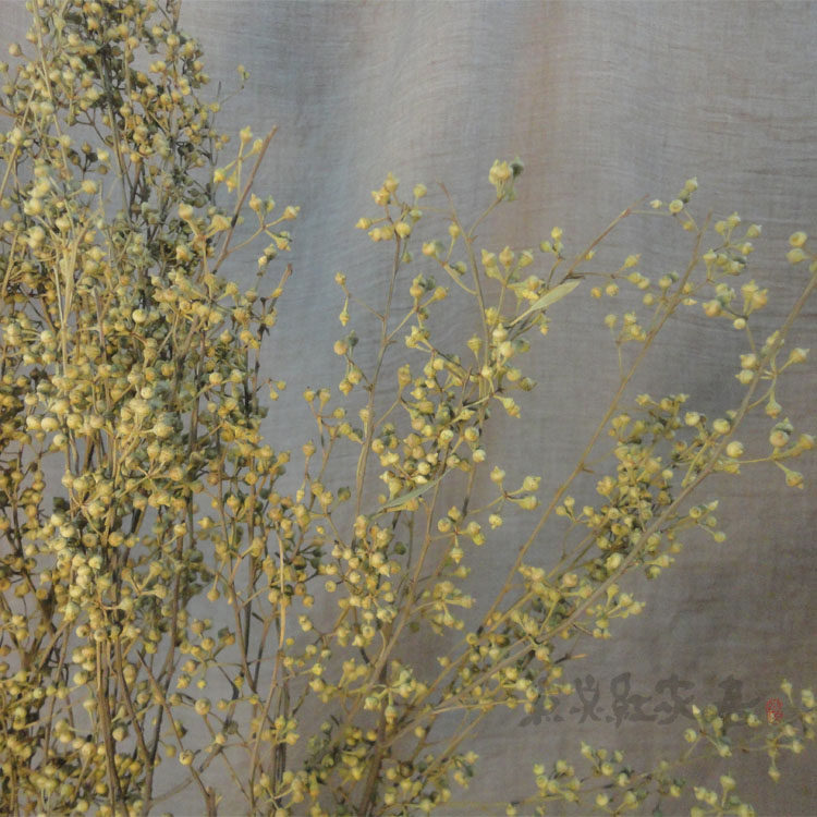 (Dragon Claw Branch) Millet Dried Fruit Flower Flower Arrangement Decorative Flower Decoration Floor Real Flower Living Room