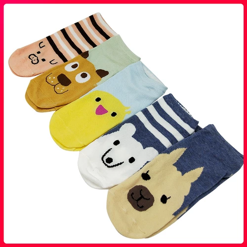 Носки носки, легкие рты, корейские милые носки, дамы, хлопковые летние тонкие низко низкие силиконовые незрелые невидимые носки домашние животные
