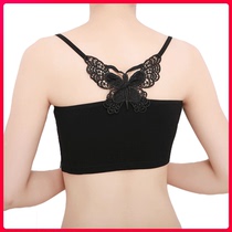 Sexy bow short camisole vest beauty back wrapped chest chest chest Modal anti-light bottoming underwear women