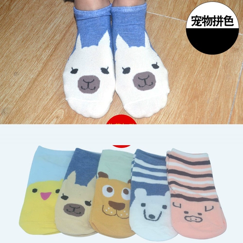 Носки носки, легкие рты, корейские милые носки, дамы, хлопковые летние тонкие низко низкие силиконовые незрелые невидимые носки домашние животные