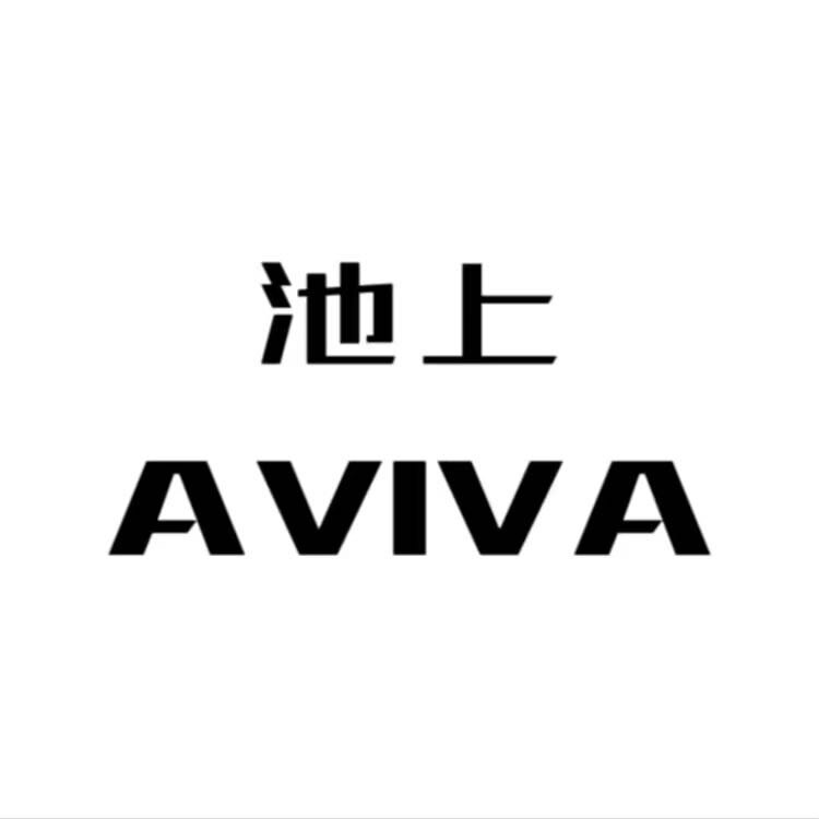 池上国潮新中式女装