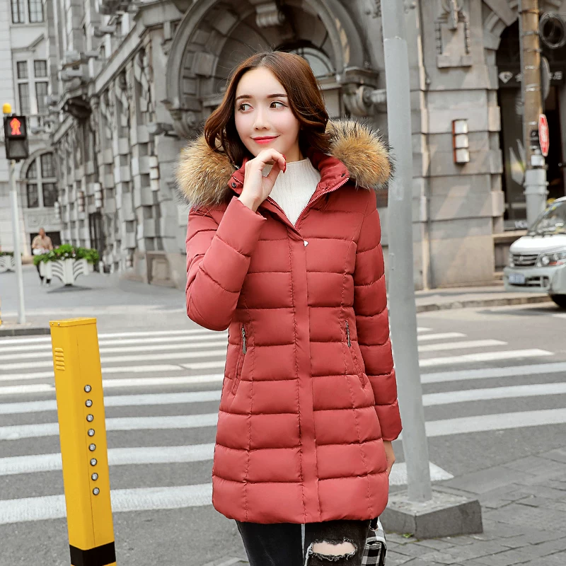Velvet down jacket with down, duck down