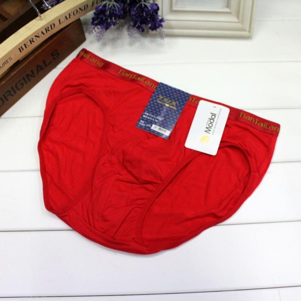 4 bài viết Tian Tailang nam modal cotton đồ lót tam giác bằng sợi tre thấm hút mồ hôi quần short nam thanh niên quần sịp cotton nam