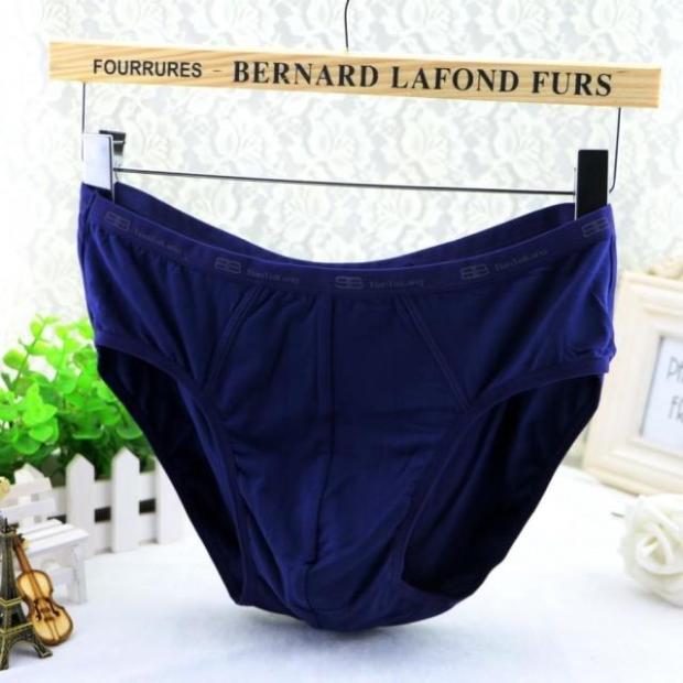 4 包邮 Tian Taro modal cotton nam tam giác đồ lót bằng sợi tre cotton năm nay quần short quần quần lót nam cao tuổi