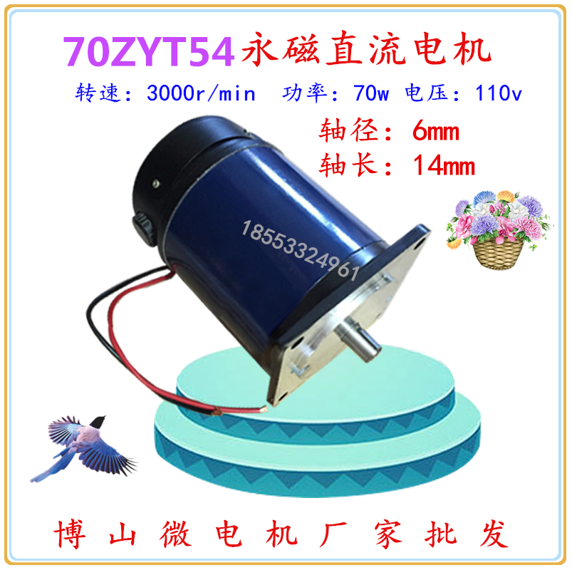 70ZYT54 110V DC motor 70W 3000RPM Boshan Micro motor speed reduction motor