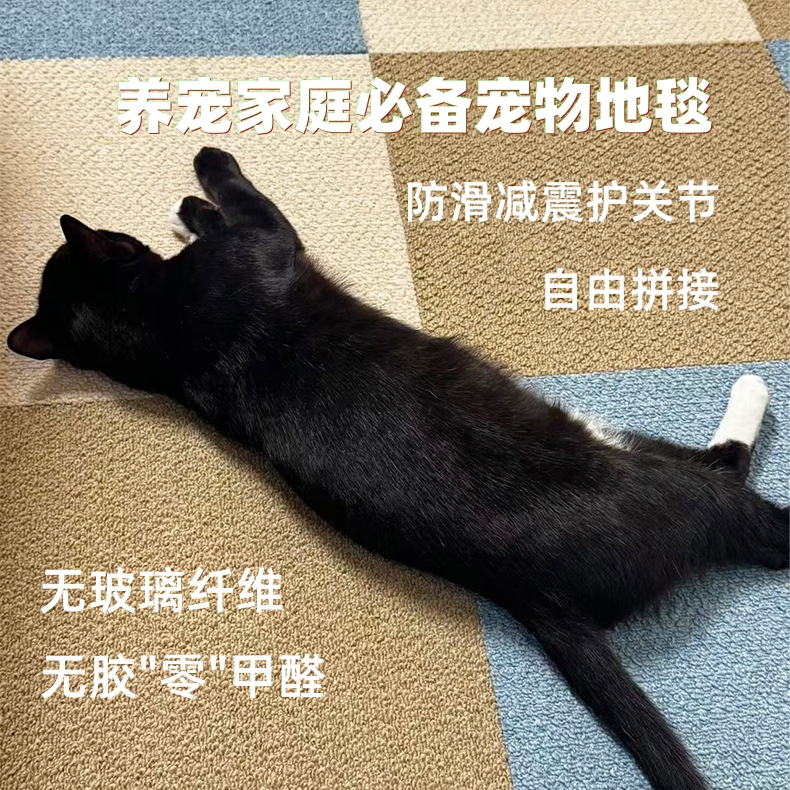 Modustep Pet Anti-Slip Cushioning Floor Mat Protects Joints, Formaldehyde-Free, Fiber-Free, Environmentally Friendly Human and Pet Floor Mat