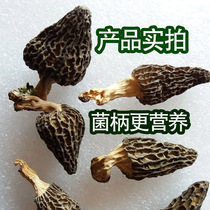 Special goods in Tibet wild stomach bacteria in the world of four major mushrooms in the world 100g self - selected dry goods