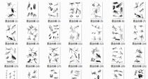 36 insect line drawing manuscripts of flowers and birds material White manuscript hand-painted manuscript high-definition electronic large picture material