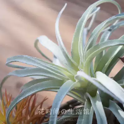 Simulation succulents Agave air grass fake flower placement potted combination living room home decoration ornaments