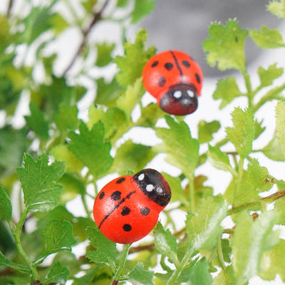 Simulated ladybug home decorations, fridge magnets, succulent plant ornaments, accessories, flower arrangements