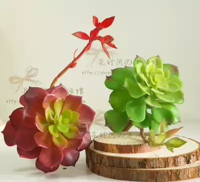 Simulation succulent plant plastic fake green plant with Bud Snow Lotus fake meat factory direct decorative flower