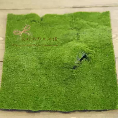 Simulation moss turf succulents wall DIY material