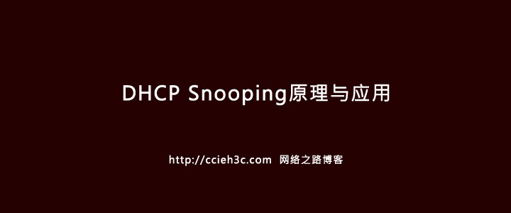 企业网安全防范系列之三：思科交换机上DHCP Snooping的运用