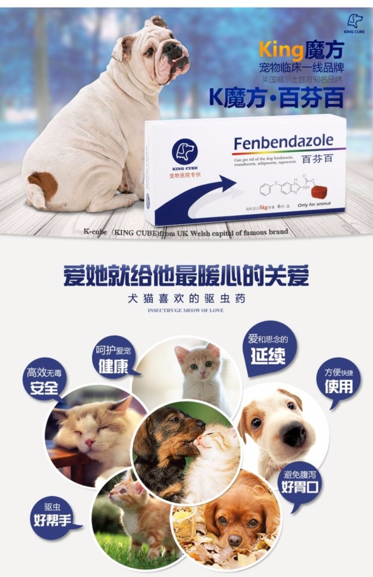[5kg trở xuống] Khối lập phương, mèo, chó, thịt bò, thịt bò, cơ thể, thuốc trừ sâu, hạt đơn của KINGCUB Rubik - Cat / Dog Health bổ sung sữa mèo con