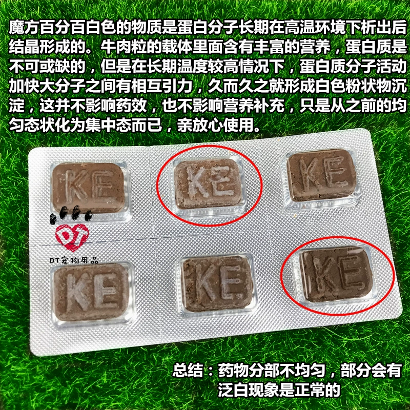 [2kg trở xuống] Khối lập phương của KINGCUBE Rubik, mèo, chó, thịt bò, ngũ cốc, cơ thể, thuốc trừ sâu, hạt đơn - Cat / Dog Health bổ sung