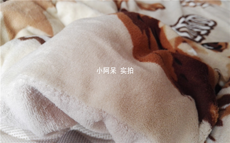 Ngoại thương gốc phim hoạt hình mùa đông chăn sinh viên ký túc xá với lõi đơn chăn mùa đông ấm áp đơn lõi dày 	trần bông chăn ga gối	
