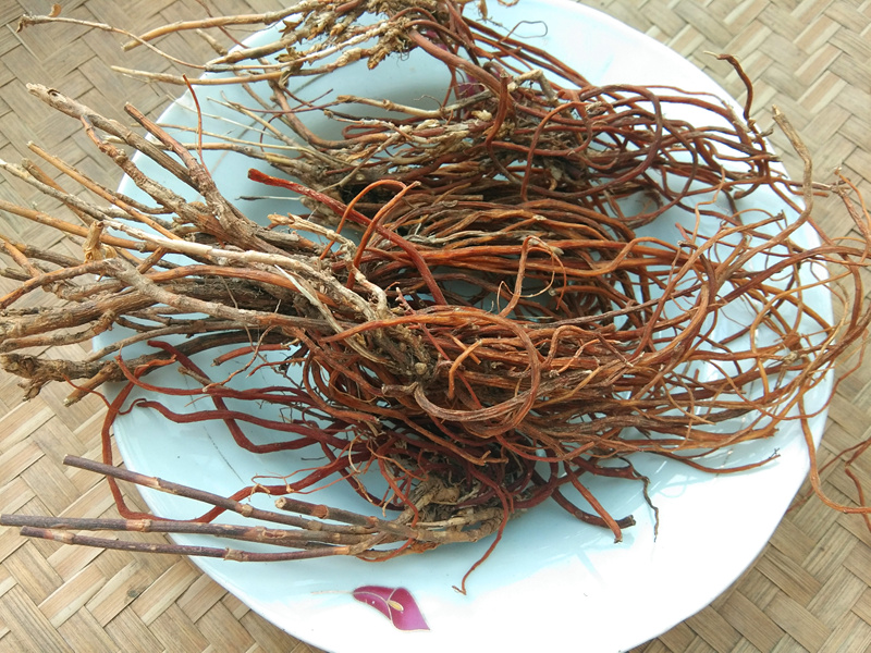 Guizhou Chinese herbal medicine Longbile grass 250g Longbile grass root bitter gentian gentian gentian gentian gentian