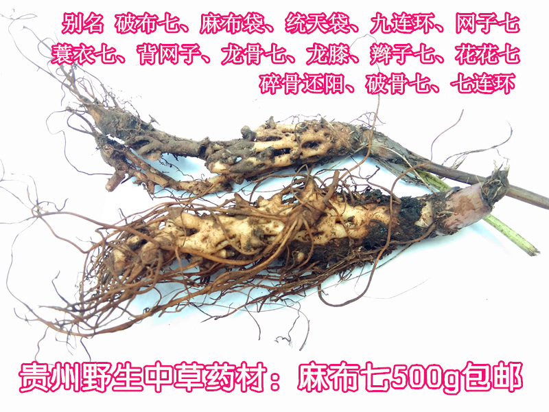 Fresh wild Andrographis paniculata, Chinese herbal medicinal sacks, seven nine serial rags, seven coir raincoats, seven sackcloths, seven 1 catties
