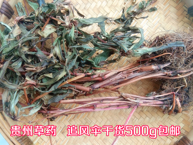 Guizhou wild wind chasing umbrella 500g whole grass dry goods Chinese herbal medicine male bone Dan shock umbrella broken cool umbrella