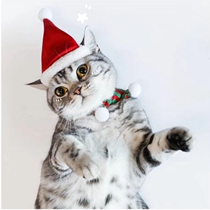 New Christmas lock Christmas hat mini cat elastic decorative small hat Christmas pet dog hat