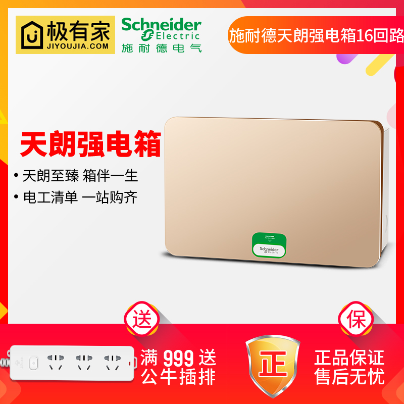 Schneider Strong Electric Case Concealed 16 Loop Air Switch Leakage box Home Electric box Tianlang gold distribution box