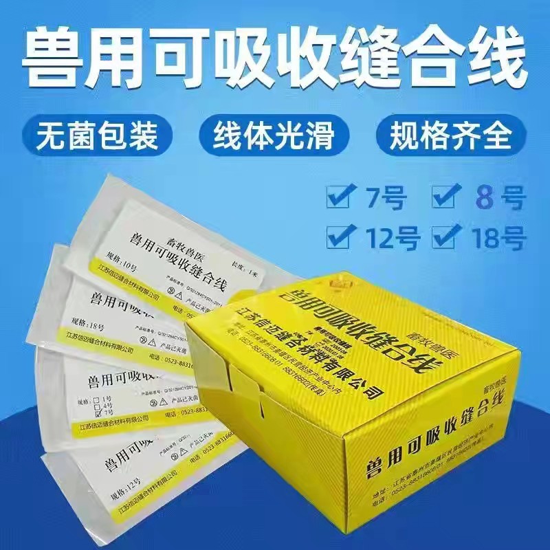 兽用手术可吸收缝合线免拆  宠物猪牛羊用羊肠线埋线可吸收PGA