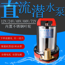 DC submersible pump 12V24V48V60V72V Volt household battery car water pump agricultural watering vegetable small water pump