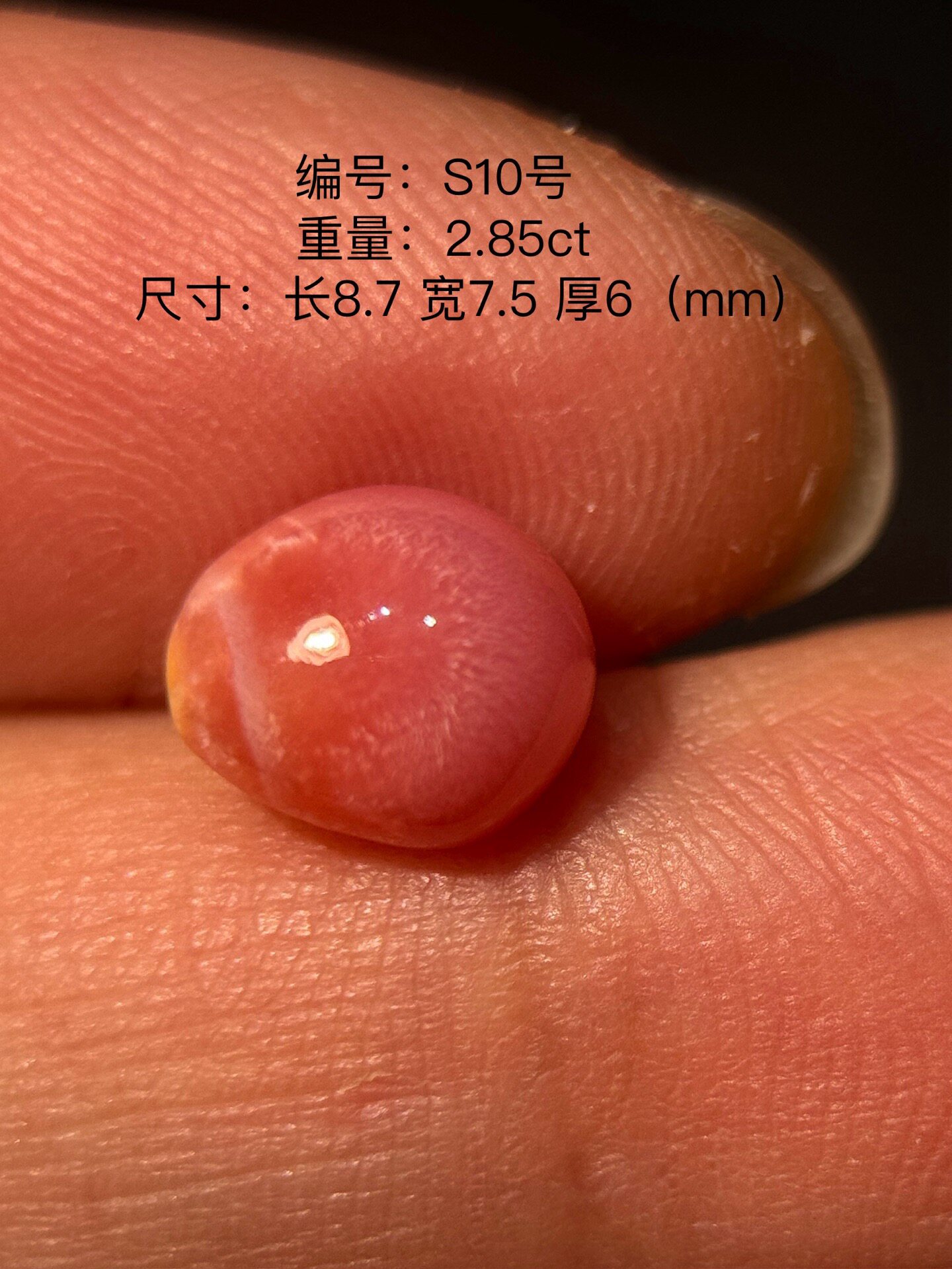 S10号2.85ct野生海螺珠孔克珠：海洋之魅，璀璨夺目的珠宝盛宴！-裸珠-淘宝好物网