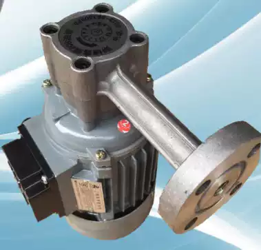 Ordinary oil pump 380V 40W ZCB rotor oil pump reducer special explosion-proof oil pump gear oil pump