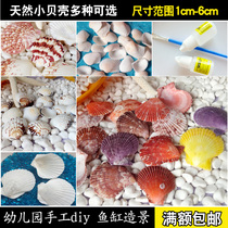 Natural shell conch color white stone fish tank landscaping decoration DIY handmade work material floor ornaments