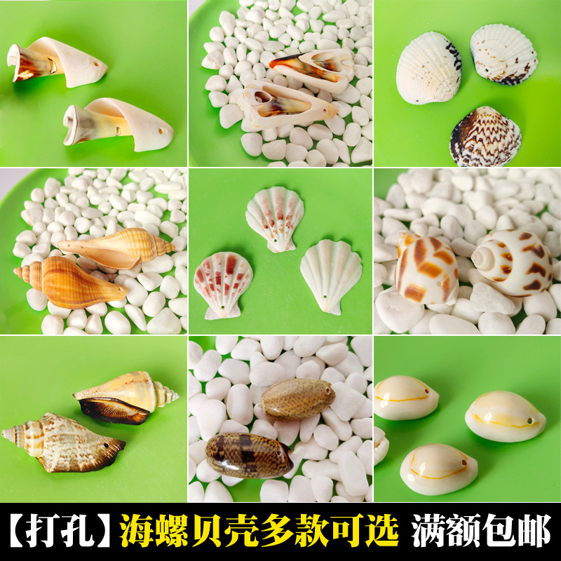 Natural Shells Sea Snail Punching Handmade Diy Material Bag Marine Bottle Ornament Clothing Windbell Accessories String Beads With Holes