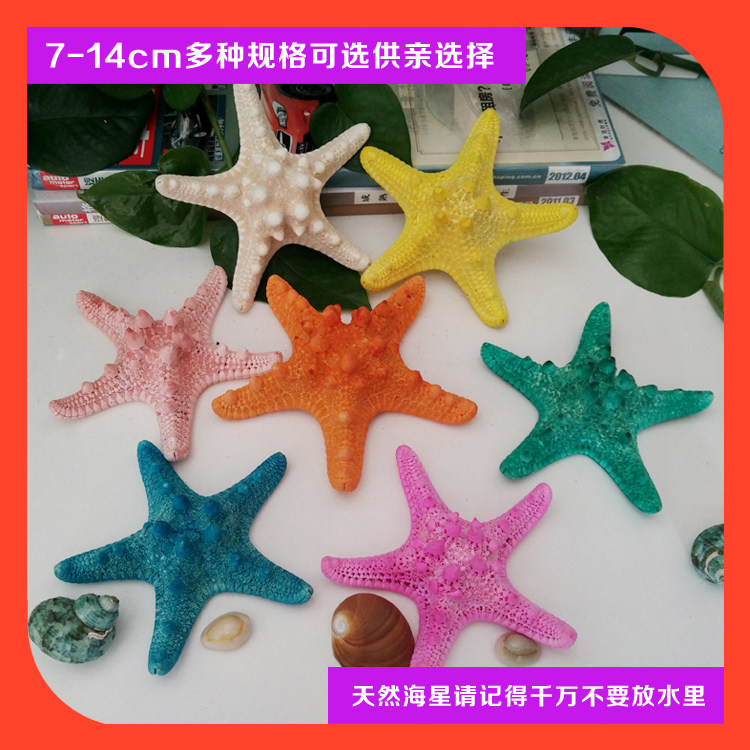 Natural shell Haixing Craft Specimen Creative Star Decoration Fittings Gifts Seastar Shell Night Market Source