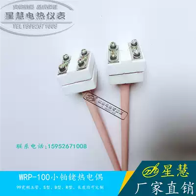 Factory direct sales S B type platinum wire small platinum rhodium high temperature corundum thermocouple WRP-100 small platinum rhodium thermocouple