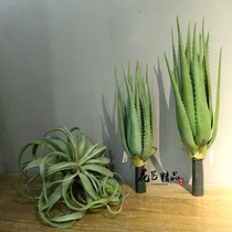 Large succulents tropical rain forest green plant decorations soft dress floral design silk flowers fake flowers isn