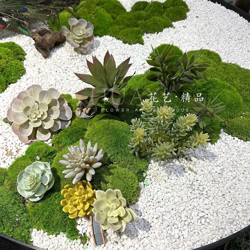 Miniature Moss Landscape, Small Artificial Succulents, Aloe Vera, Aquatic Plants, Pennywort, Moss, Bonsai, Table Decoration