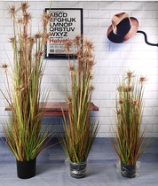 Simulated Reed Setaria Potted Sunny Grass Water Grass Living Room Home Clothing Store Decorative Plant Props