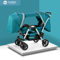 Павлин зеленый