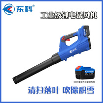 Dongke Storm rechargeable blower high-power industrial lithium hair dryer ash removal strong fallen leaves snow remover