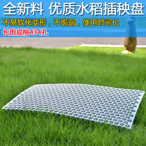  Plastic rice seedling tray 9 inch machine flat tray tower type hand-thrown rice seedling tray Rice seedling tray transparent 434 holes