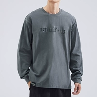 Темно -серой